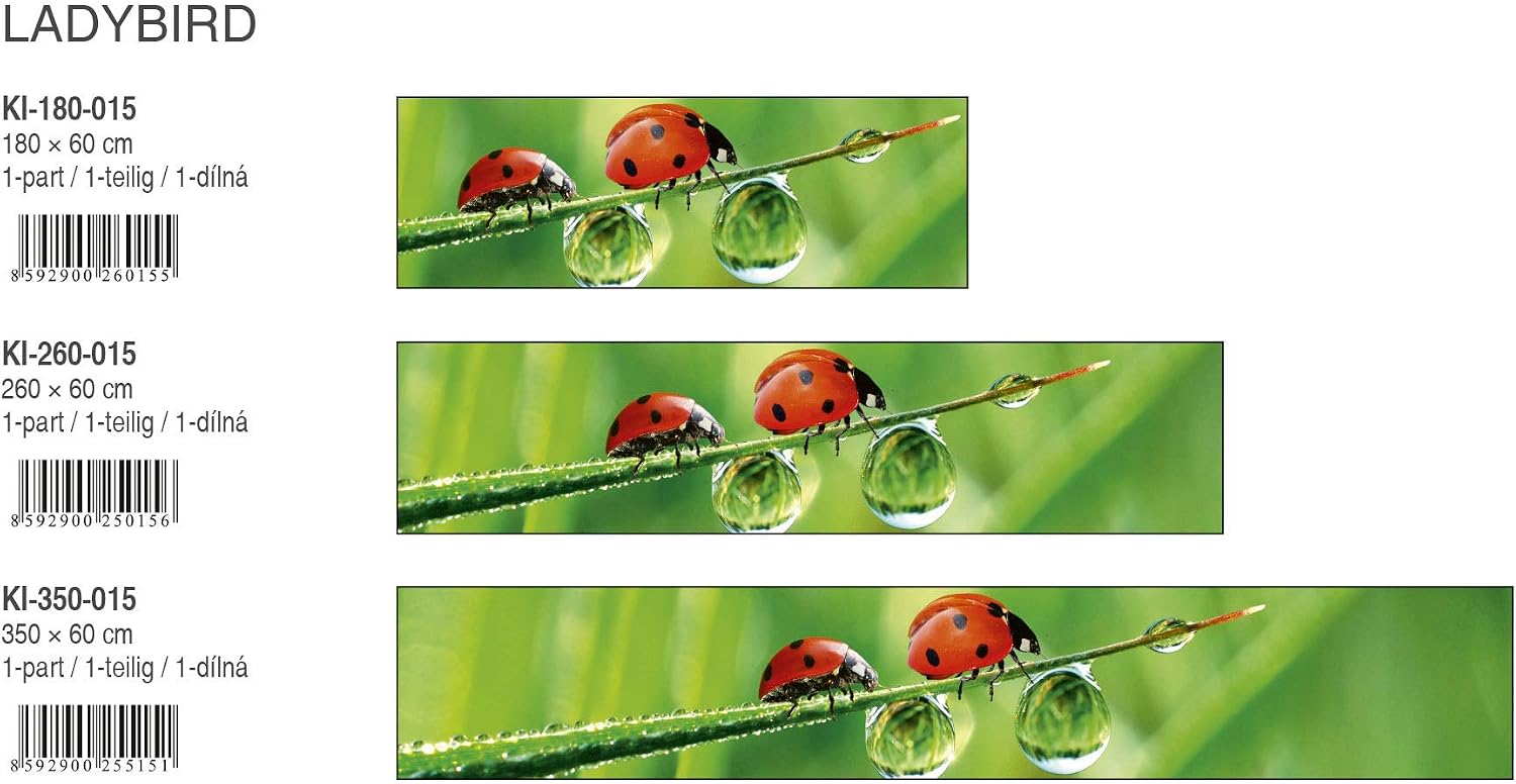 DIMEX LINE Peel and Stick Kitchen Backsplash Sticker Ladybug, Grün, 180 x 60 cm - Image 5
