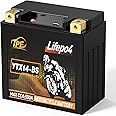 TPE Lithium Lithium Powersport Battery, 12V 8Ah Motorcycle, ATV, UTV, PWC,Jet Ski, 4 Wheeler, Lawn Mower and Generator Battery DLF14-BS YTX14