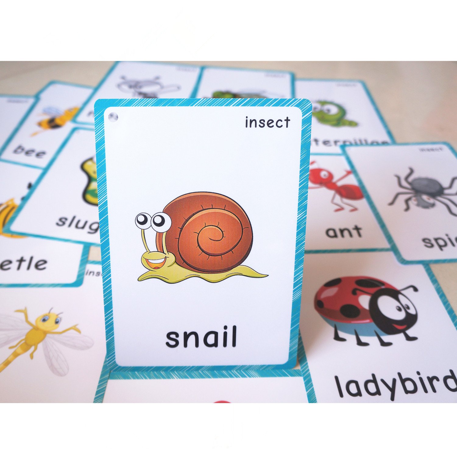 Flash Cards Classroom Decorations and Early Learning Kindergarten