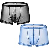 ZONBAILON Mens Sexy Underwear See Through Silk Boxer Pouch Briefs Breathable Mesh Trunks Pack