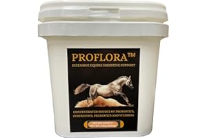 ProFlora™ Equine Digestive Care – Advanced Horse Probiotic & Immune Support Supplement – CFUs, Vitamins & Minerals – Gut Heal