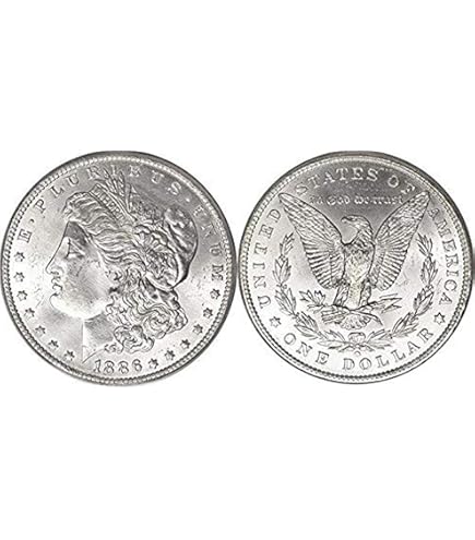 Amazon.com: Certified Morgan Silver Dollar 1895-O VF20 ANACS