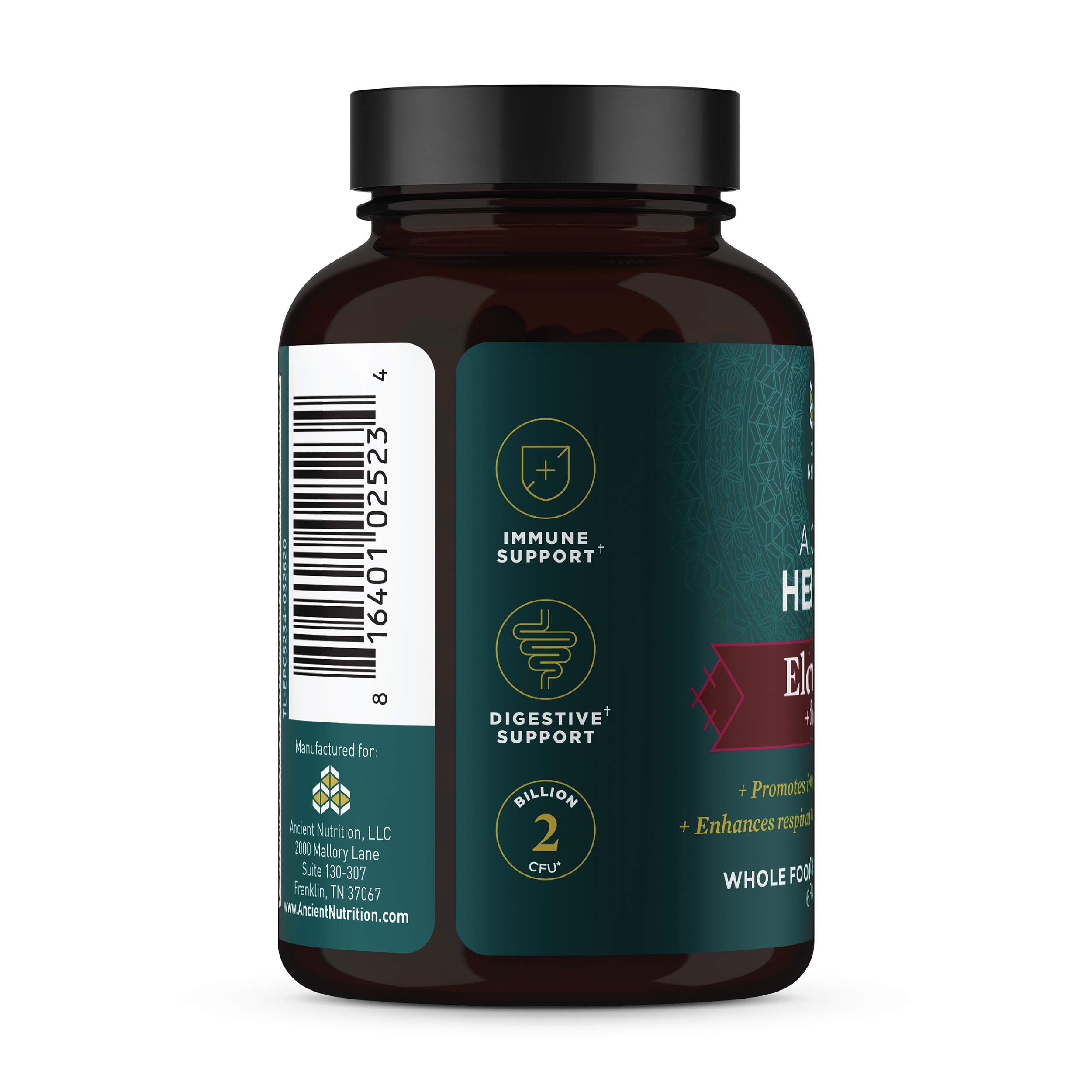 Ancient Nutrition Elderberry and Probiotics Supplement, Ancient Herbals Black Elderberry Capsules, Immune System Support, Whole Food Supplement, Gluten Free, Paleo and Keto Friendly, 60 Capsules