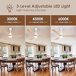 60" Outdoor Ceiling Fans with Lights and