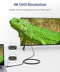 JSAUX 4K DisplayPort to HDMI Cable Adapter 10FT, DP