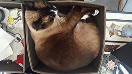 Review Image by B.L. Acken