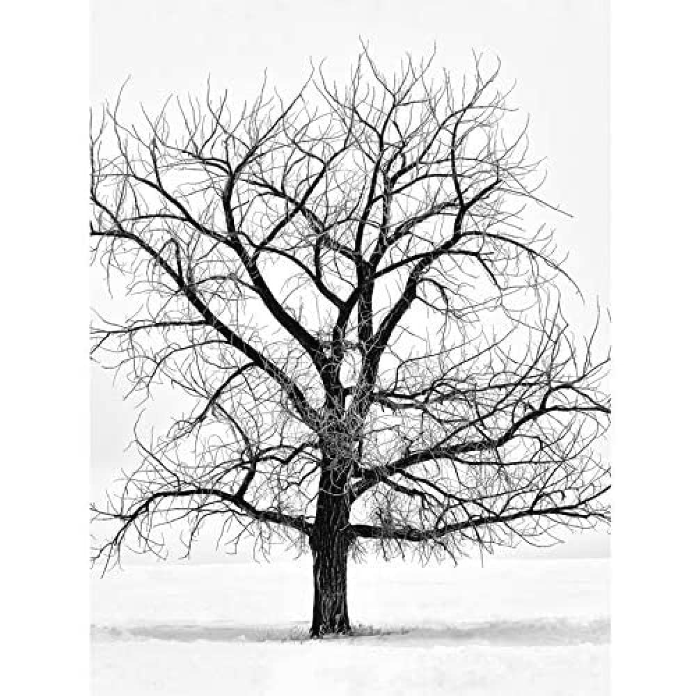 Artery8 Lone Tree Winter Frost Snow Black White Photo Art Print Canvas Premium Wall Decor Poster Mural