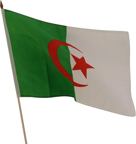 Stock Bandiera Flag Bandiera 30 X 45 Cm Algeria L Agery Algeria Nel Set Da Pezzi Amazon It Sport E Tempo Libero