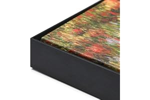 FOLKOR Floating Frame for 24x24 Canvas Paintings, DIY Metal Canvas With 5/6 Deep, Modern Floater for Oil Paintings Portrait Landscape Dining Room Kitchen Wall Art Decor (Black)