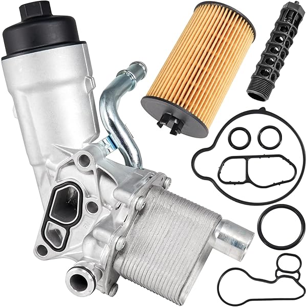 Amazon.com: GM Genuine Parts 55566784 Engine Oil Cooler and Oil  
