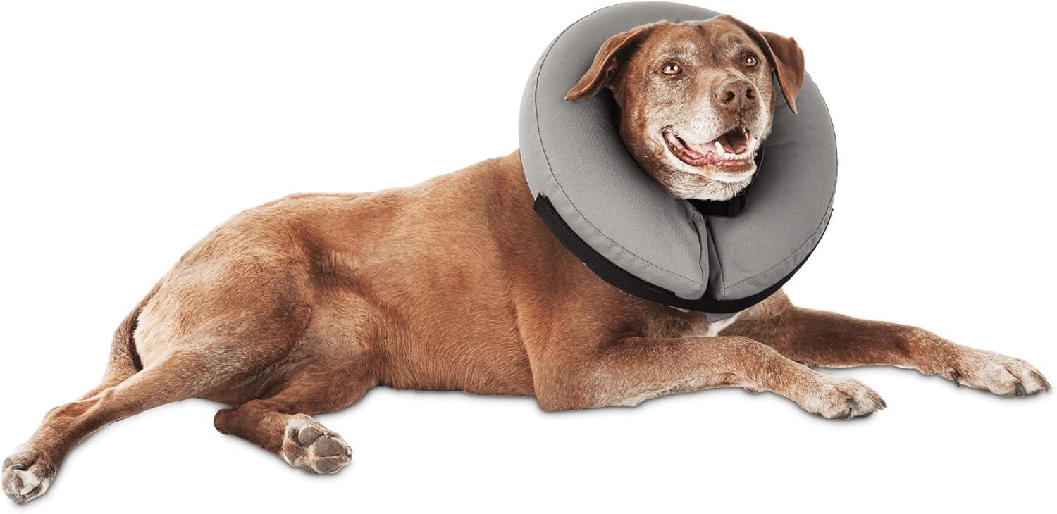 well and good inflatable dog collar