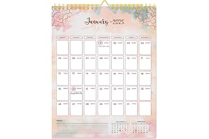 DVN LEARNING 2025 Wall Calendar - January 2025 - December 2025, 12 Monthly Hanging Calendar 2025 Planner, 11.5" x 14.8",
