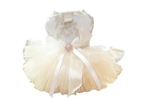 Champagne Dress for Small Dogs, Girl with Leash Ring and Bow Decoration, Luxury Wedding Dress for Dogs, Multi-Layer Princess 