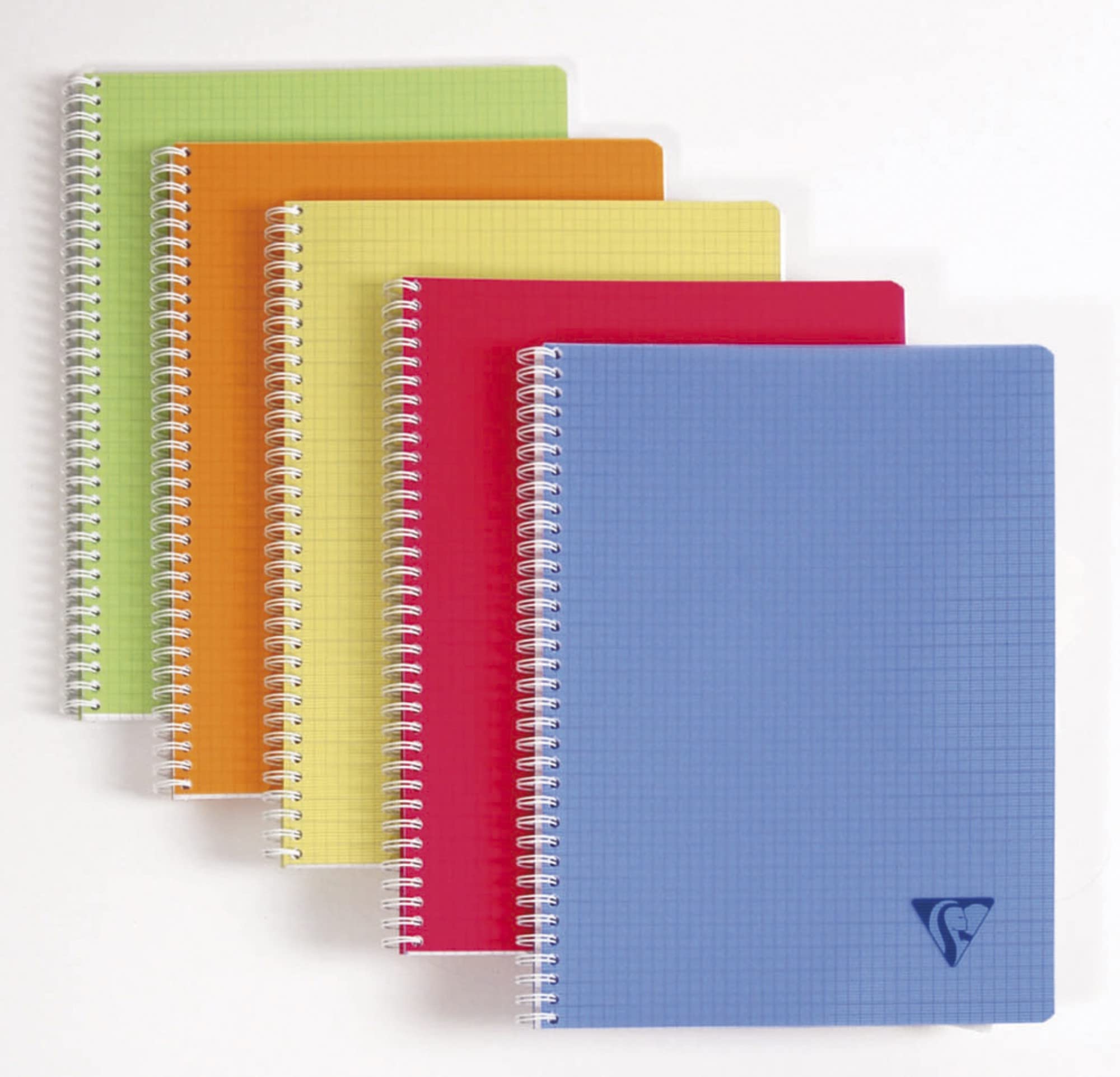 Clairefontaine 328325C Collection LiniColour Fresh Spiral Notebook 24x32cm - 100 Small Square Pages - 90g White Paper - Transparent Polypro Cover Random Colour