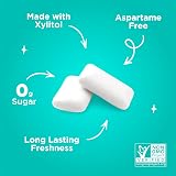 PUR Gum Sugar Free Wintergreen 55 Pieces Xylitol Vegan Keto Gluten Free view 4