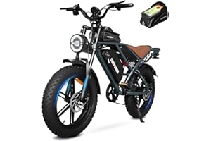 RIDEON Electric Bike for Adults 1500W Peak 20" Fat Tire EBike,30-160 Miles 30MPH Dual Suspension Electric Motorcycle,48V 20/35/60AH Battery Powered Dirt Bike