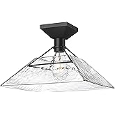 Golden Lighting Kepler 1-Light Semi-Flush Mount in Matte Black