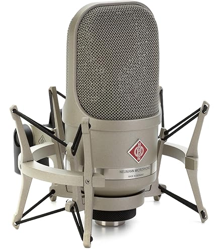 Amazon.com: Neumann TLM 193 Large-Diaphragm Condenser Microphone