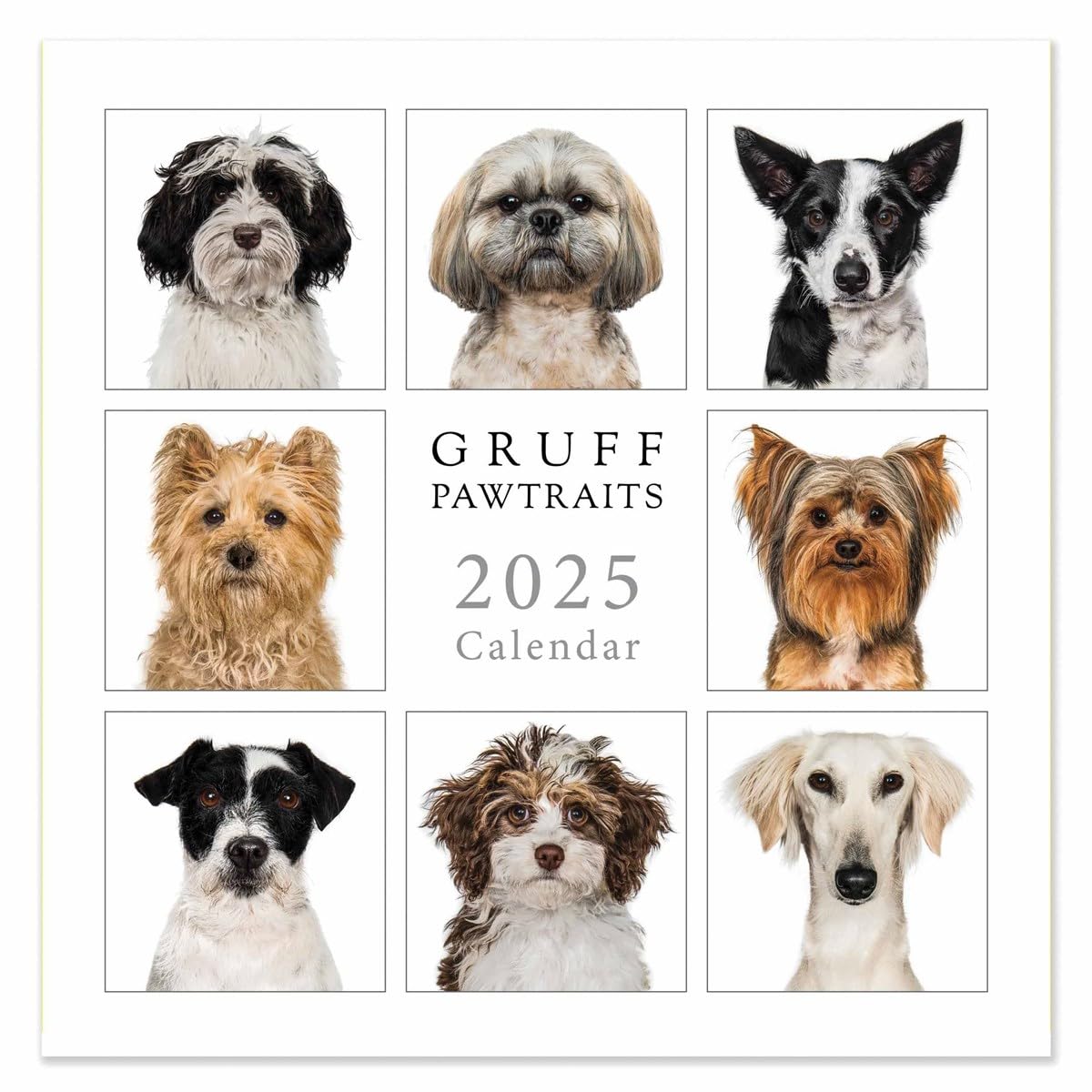 2025 Gruff Pawtraits Illustrated Dogs Square Wall Calendar