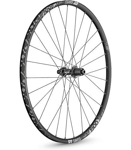 Amazon.com: Dt Swiss X 1900 Spline 25 29In Boost Wheel Front, Cl