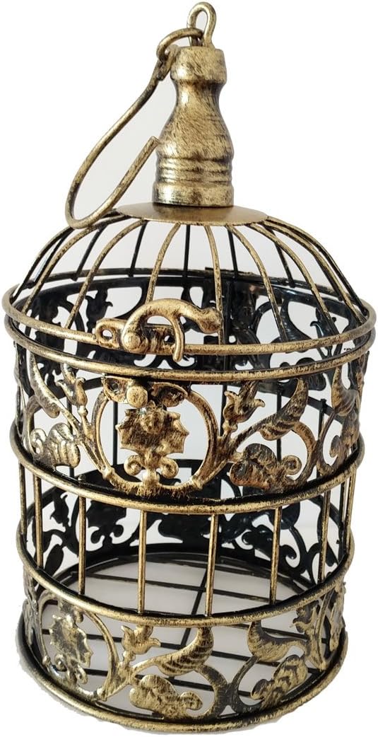 PET SHOW Round Birdcages Metal Wall Hanging Bird Cage for Small Birds Wedding Party Indoor Ourdoor Decoration 9.8INCH and 13.8INCH Color Black White Bronze Pack of 1