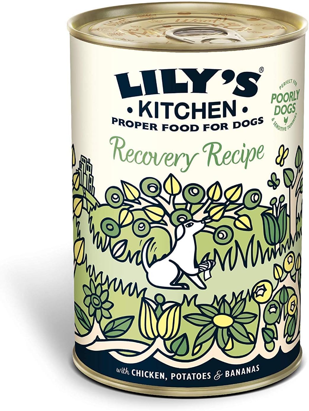 Lily's Kitchen Adult Recovery Recipe Complete Wet Dog Food, 6 x 400 g