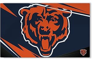 Northwest The Company NFL Washable Rug, 36" x 60", Shredder, Team Colors (Chicago Bears)