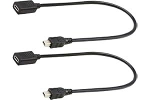 zdyCGTime (2-Pack)Mini USB to Type-C Extender Cable, USB 3.1 Type-C Female to USB 2.0 Mini B Male Extension Cable Simultaneou