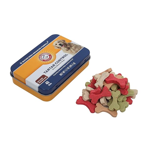 ARM & HAMMER FOR PETS TARTAR CONTROL DENTAL MINTS FOR DOGS | DOG DENTAL MINTS HELP REDUCE PLAQUE & TARTAR BUILDUP WITHOUT BRUSHING | BEEF FLAVOR, 40 COUNT