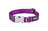 Red Dingo Classic Dog Collar