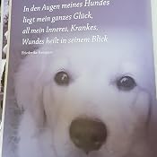 Mehr Als Nur Ein Hund Ein Erinnerungsbuch Amazon De Anne Seven