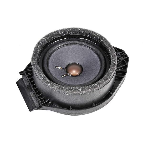 Amazon.com: ACDelco GM Original Equipment 25773787 Driver Side 