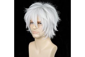 AICOS Alacos Women Men Short Fluffy Straight Hair Wigs, Silver White, Size One Size