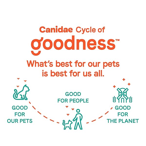 CANIDAE GOODNESS FOR SKIN AND COAT, PREMIUM ADULT DRY CAT FOOD WITH REAL SALMON, 5 LBS.