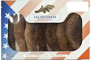 DABC OAK LAND DOL Wild Alaska Red Sea Cucumber 野生阿拉斯加紅海參 （Dried Sea Cucumber）- in Box (X-large 16oz/box)