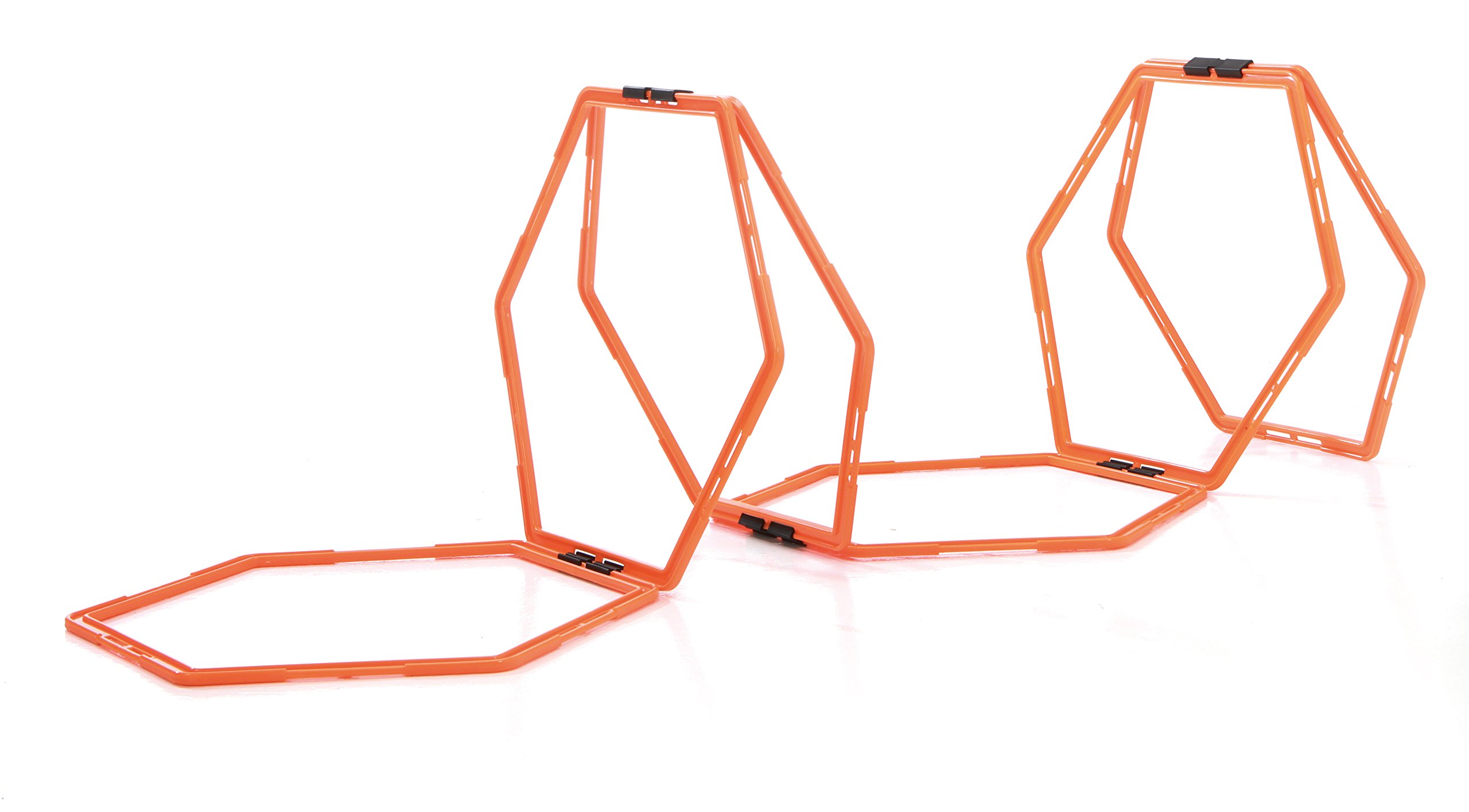 Sveltus Training Ladder