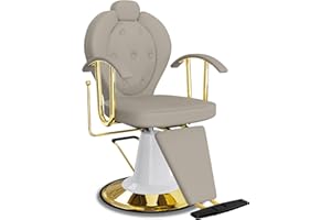 Baasha Reclining Salon Chair for Hair Stylist, All-Purpose Hair Chair with Heavy-Duty Hydraulic Pump, 360°Swivel Styling Chair, Hair Salon Chair with Removable Headrest, Weight Capacity 440 lbs - Gray