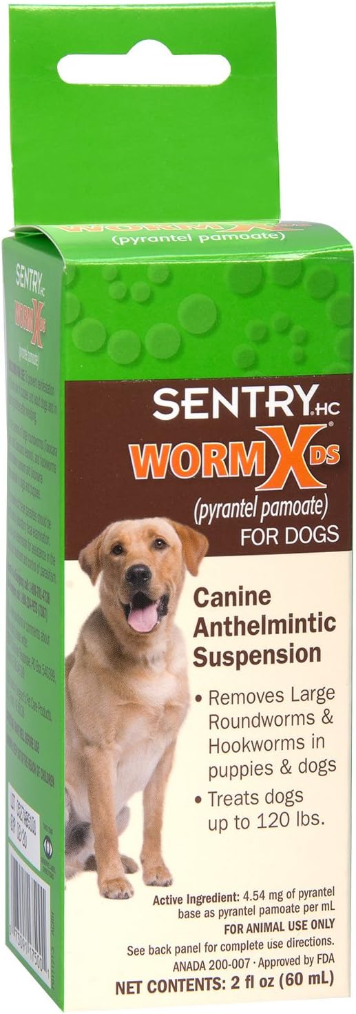 roundworm medicine for dogs walmart