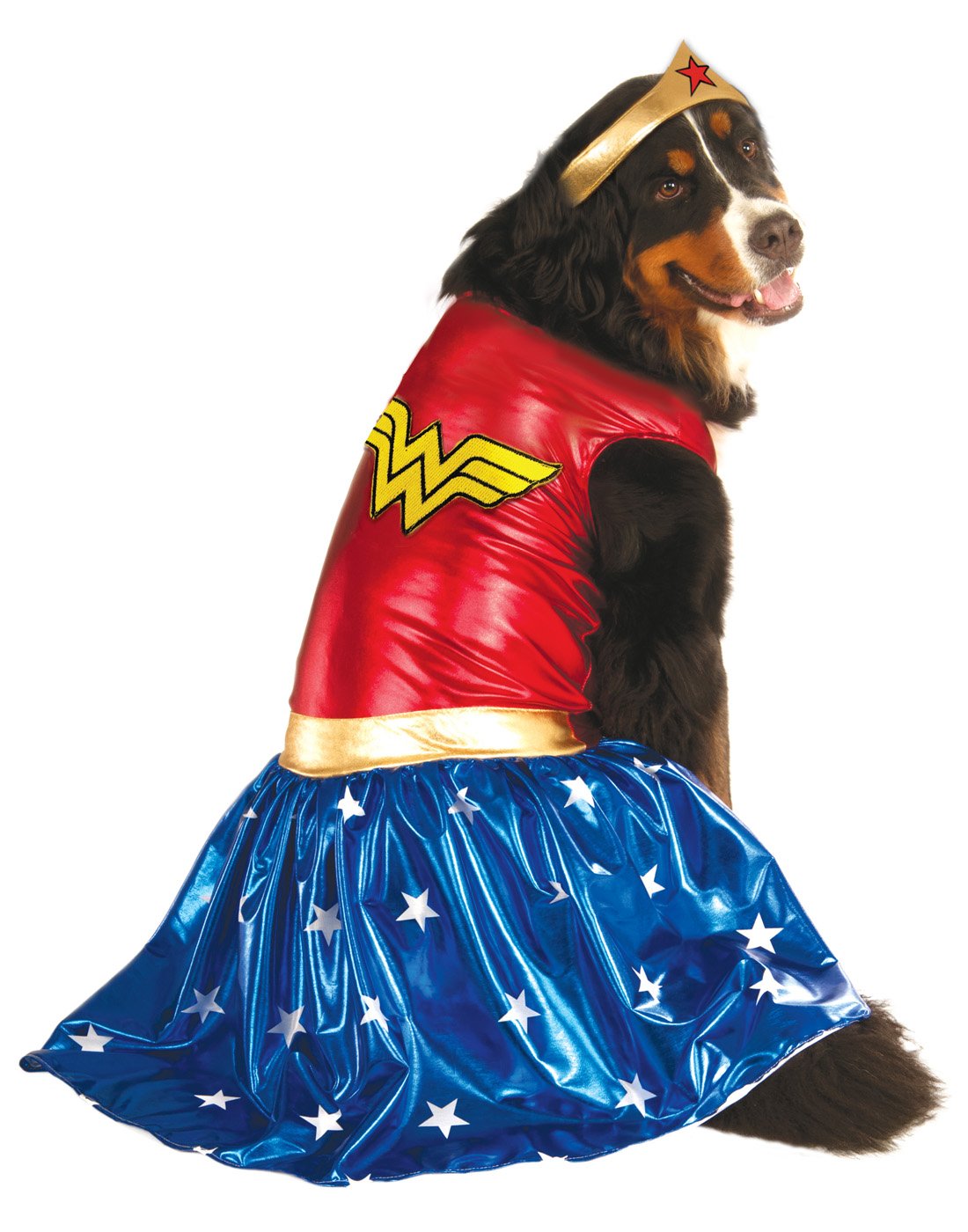 Rubie's Big Dogs Wonder Woman Dog Costume Halloween Day
