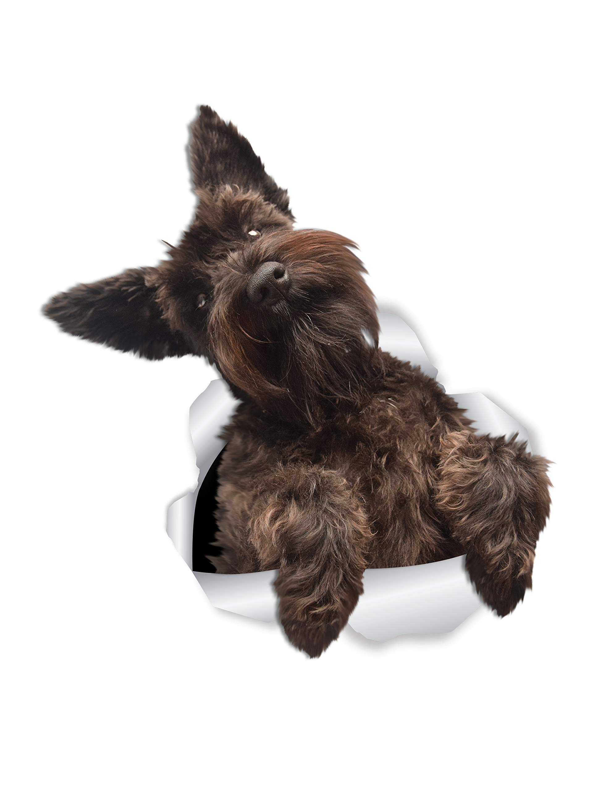 Winston & Bear Cute Schnauzer Wall Decals - 2 Pack - 3D Dog Car Window & Bumper Sticker - Schnauzer Lover Gifts