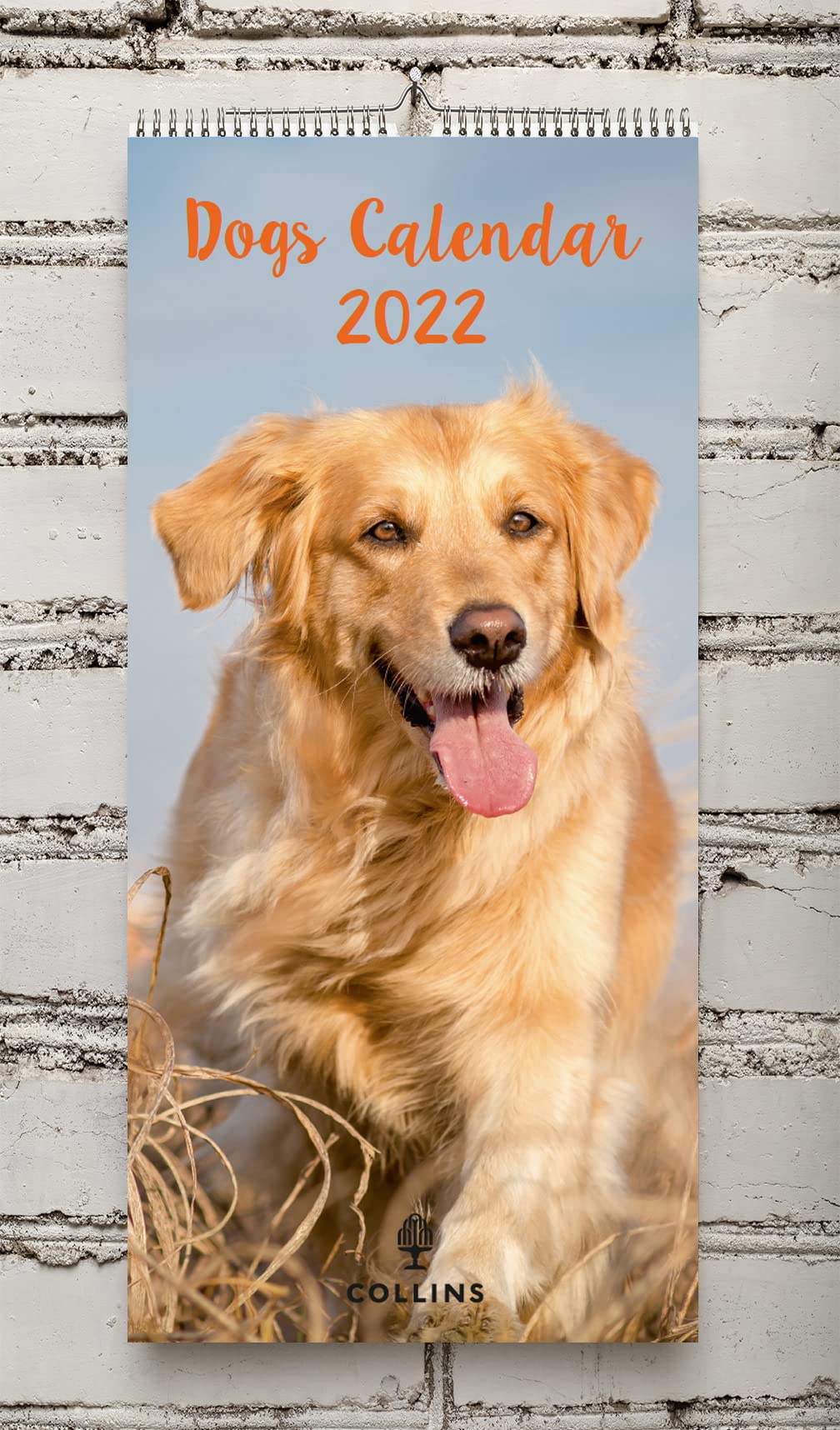 Collins Dog Calendar 2022-390x180mm Wiro Wall Calendar
