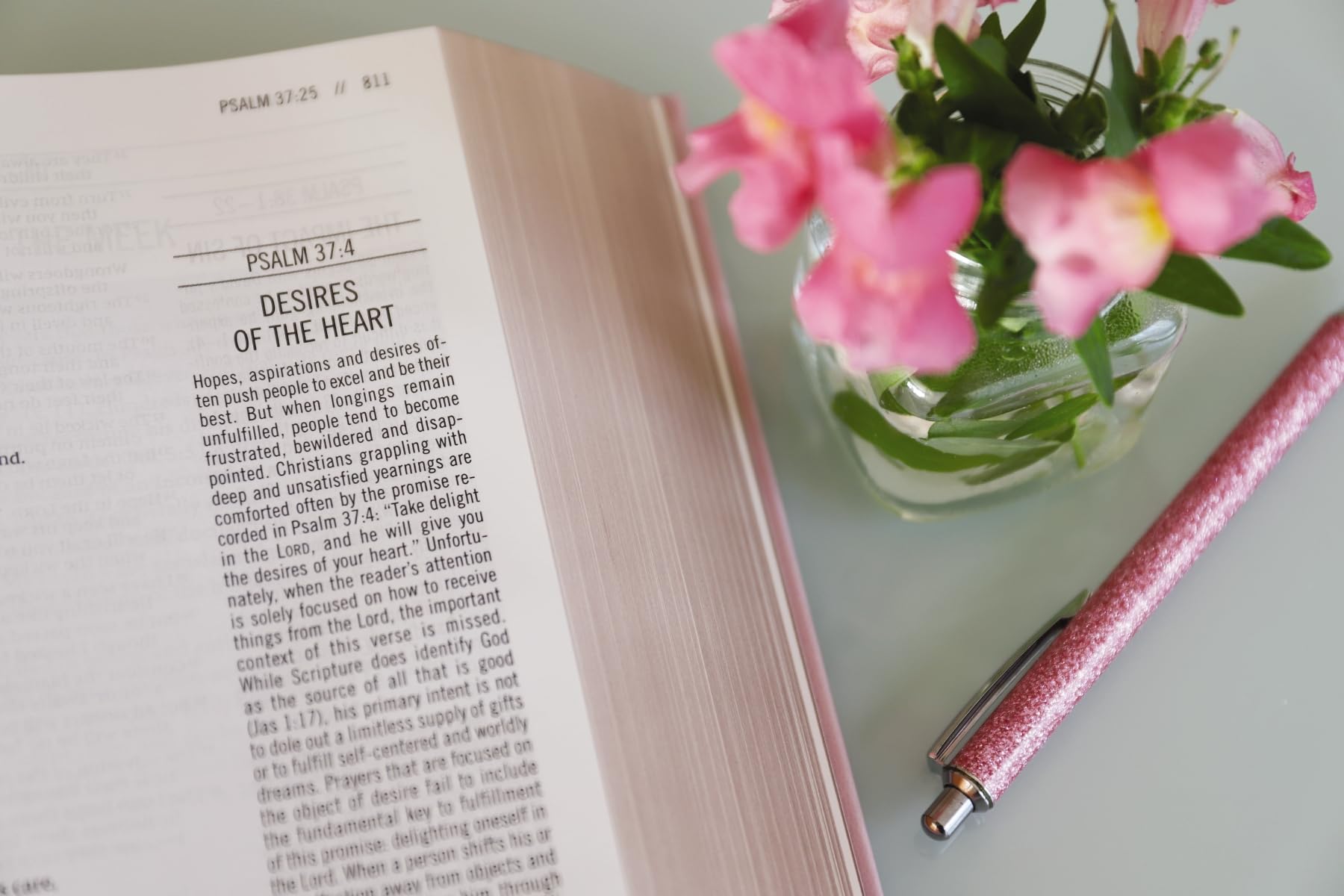 The Jesus Bible, NIV Edition, Leathersoft over Board, Pink, Comfort Print The Jesus Bible, NIV Edition, Leathersoft over Board, Pink, Comfort Print Hardcover