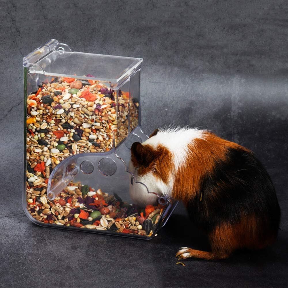 Amazon Gifty 自動給餌器 ハムスター 餌入れ アクリル 小動物 エサ 食器 固定式 ハリネズミ フード 餌やり リス モルモット フェレット 給餌 自動 鳥 小鳥 給餌器 Gifty 自動給餌器 通販