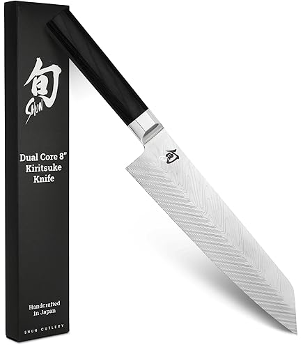 Amazon.com: Shun Dual Core 10.5