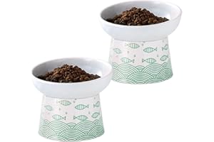 OMAYKEY Ceramic Raised Cat Bowls, Elevated Tilted Cat Food and Water Bowl Set, Porcelain Stress Free Pet Feeder Dish for Cats and Small Dogs, Dishwasher and Microwave Safe, Green, Set of 2