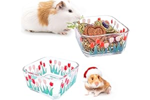 Acsist Hamster Food Bowl Glass Tulip Guinea Pig Food Dish Bowl Bunny Feeding & Water Bowls for Small Animals Syrian Hamsters Gerbil Ferret Mice Rats Rabbit Chinchilla Hedgehog (2 Pack)