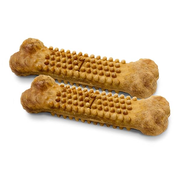 NYLABONE NUBZ NATURAL DOG CHEW TREATS FOR PUPPIES, LONG LASTING DOG BONES MADE IN USA, PUPPY TRAINING TREATS, TURKEY & SWEET POTATO FLAVOR, FOR PUPPIES UP TO 25 LBS. (8 COUNT)