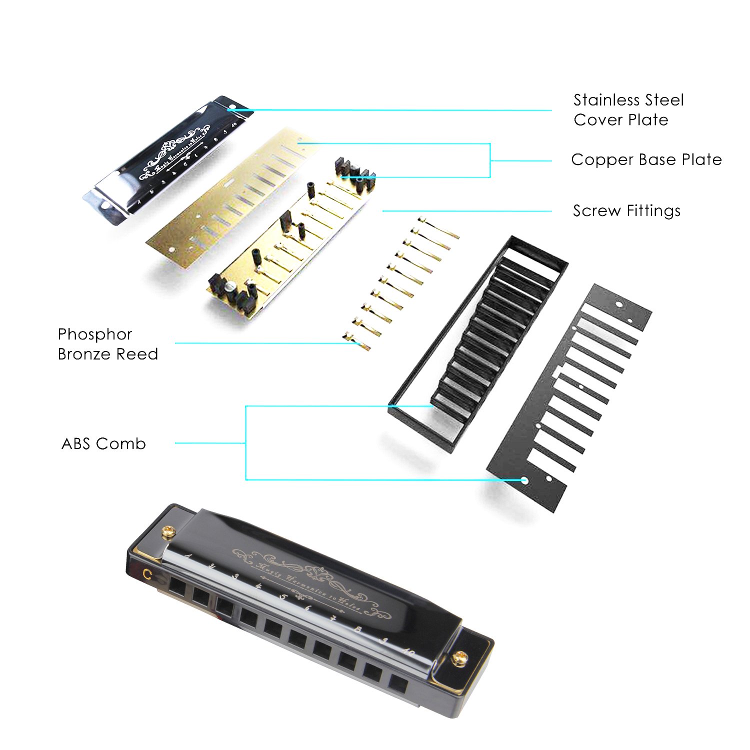 Mugig Harmonica Blues en Do 10 Trous Chrome avec Etui, Frettes en Bronze Phosphoreux, Facile à Nettoyer et Entretenir, pour Les Débudants et Enfants