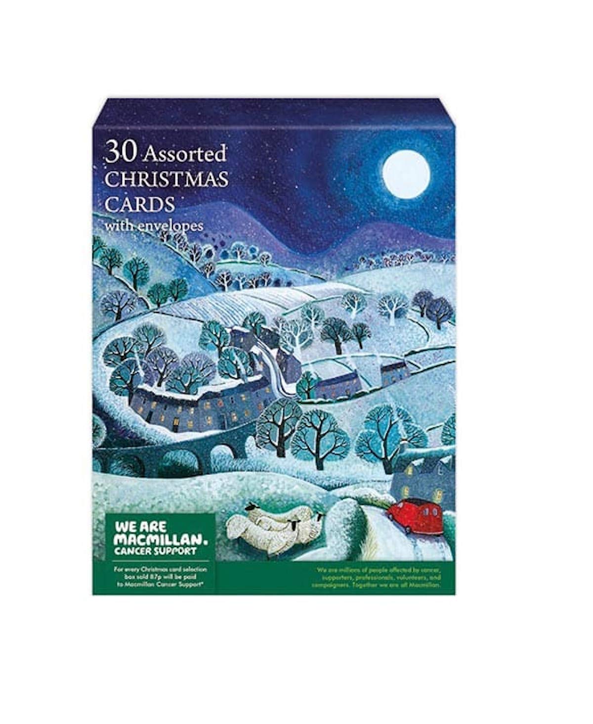 30 Assorted Charity Christmas Cards with Envelopes