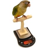 Mini NU Perch Parakeet Training Scale - Small Parrots &amp; Parakeets